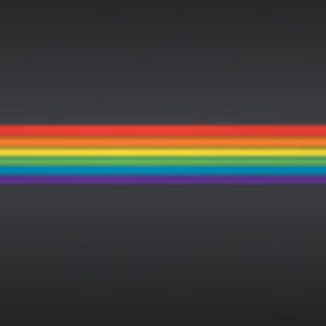 Meet your Posher, Jalynn